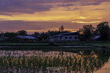 Sundown1-6.jpg