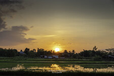 Sundown2-2.jpg