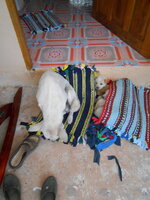 DSCN0615.JPG