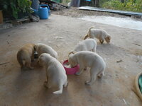 DSCN0616.JPG