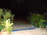 DSCN0563.JPG