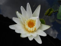 DSCN1183.JPG