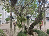 IMG_20250415_100156.jpg