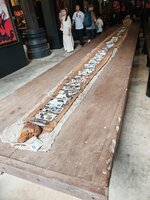 IMG_20250415_110915_1.jpg
