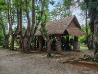 IMG_20250415_111147.jpg
