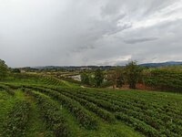 IMG_20250415_145629.jpg