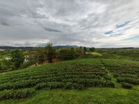IMG_20250415_145635.jpg