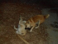 DSCN0973.JPG