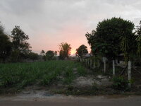 DSCN0968.JPG