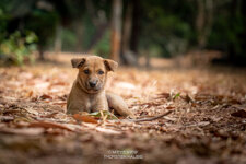 Buriram - Prasat-1-6.jpg