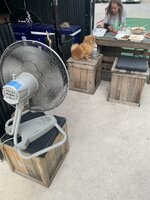 IMG_5048.jpeg