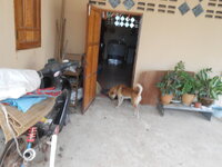 DSCN1062.JPG