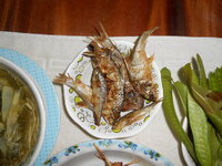 DSCN1170.JPG