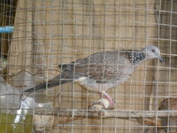 DSCN1222.JPG