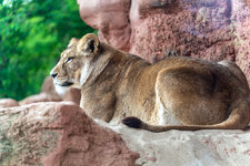DSC06135-2.jpg