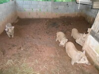 DSCN1197.JPG
