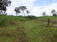 DSCN1205.JPG