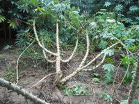 DSCN1210.JPG