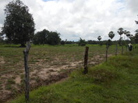 DSCN1207.JPG
