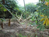 DSCN1209.JPG