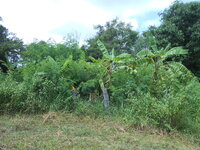 DSCN1208.JPG