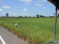 DSCN1242.JPG