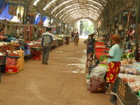 DSCN1265.JPG