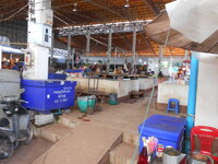 DSCN1261.JPG
