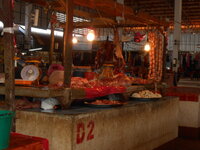 DSCN1263.JPG