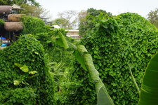 DSC04522.JPG