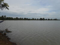 DSCN1295.JPG