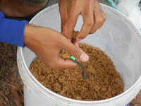 DSCN1313.JPG