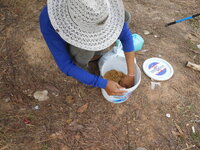 DSCN1304.JPG