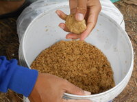 DSCN1306.JPG