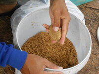 DSCN1305.JPG