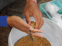 DSCN1312.JPG
