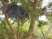 DSCN1319.JPG