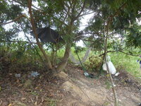 DSCN1316.JPG