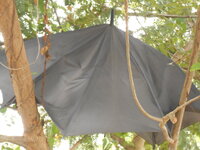 DSCN1318.JPG