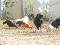 DSCN1150.JPG