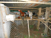DSCN1151.JPG