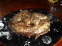 DSCN1146.JPG