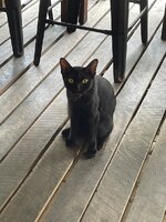 IMG_3113.jpeg