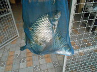 DSCN0936.JPG