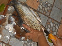 DSCN0941.JPG