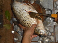 DSCN0943.JPG