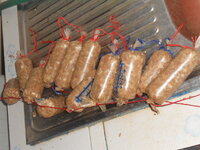 DSCN9809.JPG