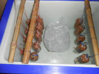 DSCN9847.JPG