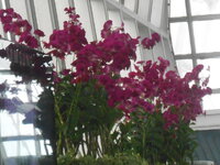 DSCN0010.JPG