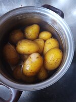 IMG_20250423_191417_315.jpg